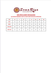 AJRAKH Padded Blouse with Mirror Work